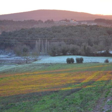 Podere Ficareto Farm Ancaiano Екстериор снимка