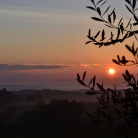 Podere Ficareto Farm Ancaiano Екстериор снимка