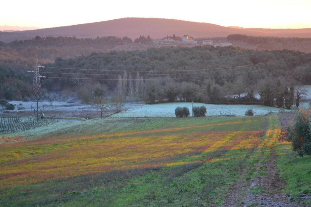 Podere Ficareto Farm Ancaiano Екстериор снимка
