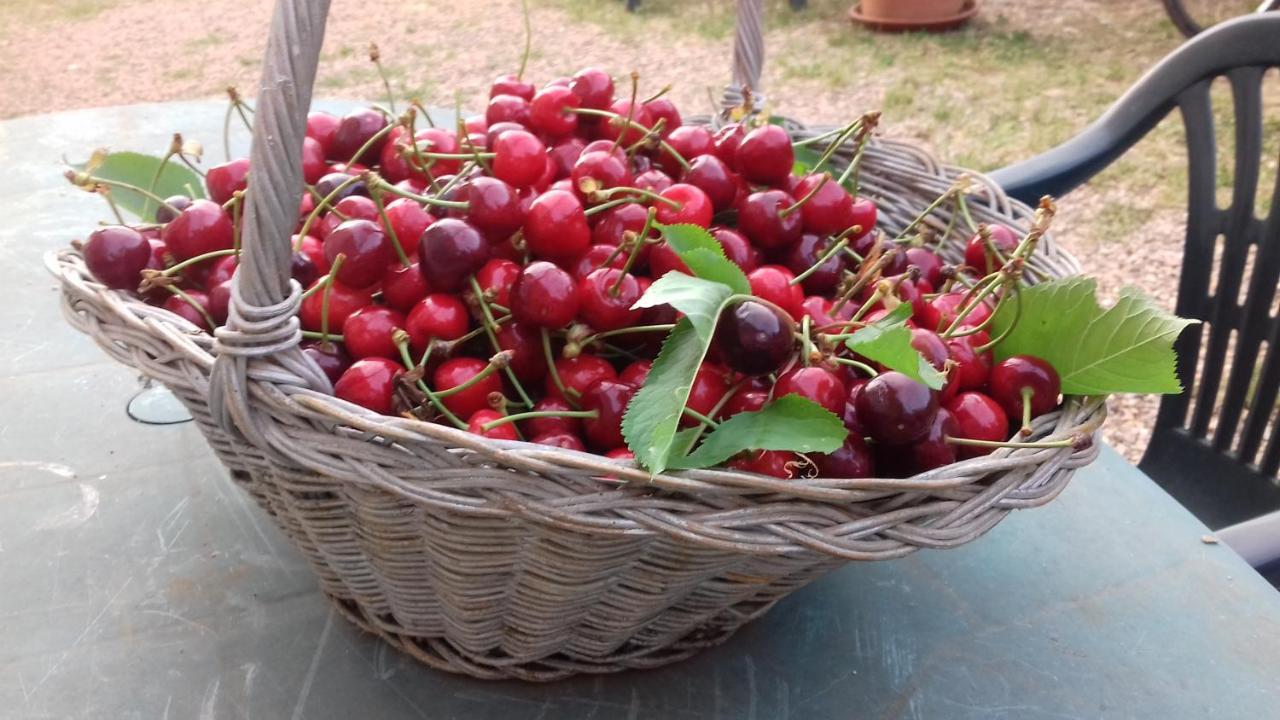 Podere Ficareto Farm Ancaiano Екстериор снимка