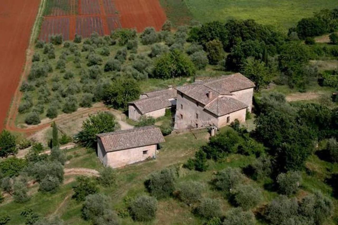 Podere Ficareto Farm Ancaiano Екстериор снимка