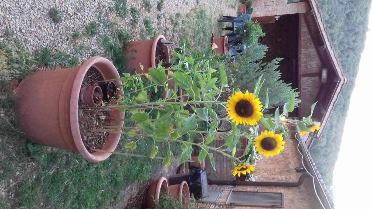 Podere Ficareto Farm Ancaiano Екстериор снимка